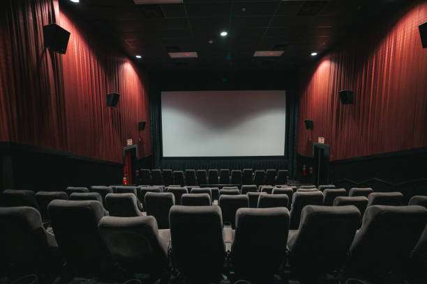 Black Vs White Projector Screen
